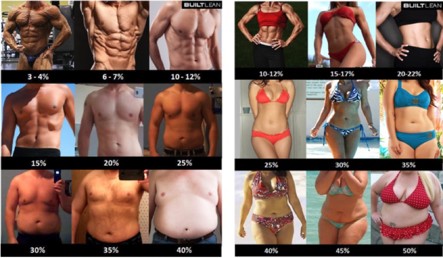 Client Transformation